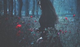 孤寂花语：玫瑰花田中的低气压絮语