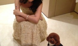 镜头之外的章子怡：卸下光环的静谧时光与多维人生