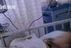 坐拥百亿却挤地铁，霍家在香港的真实地位曝光