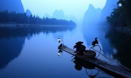 翠竹雅韵：桌面壁纸中的自然诗画