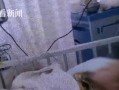 坐拥百亿却挤地铁，霍家在香港的真实地位曝光
