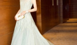 素颜女神王丽坤二零一七年度礼服风华录